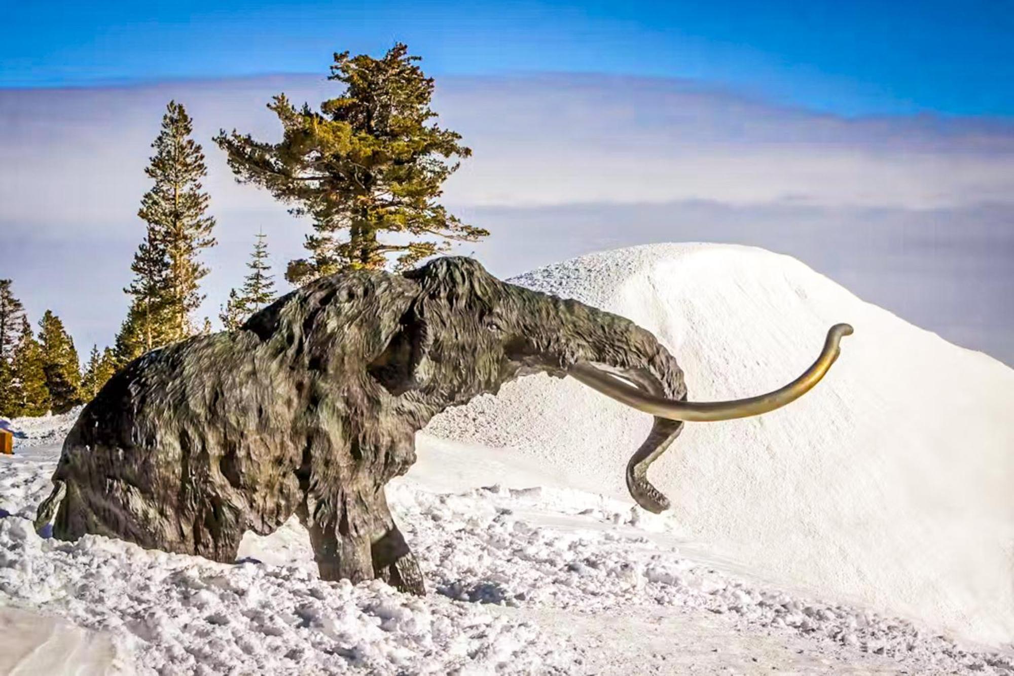 Discovery 4 119 Mammoth Lakes Exterior foto